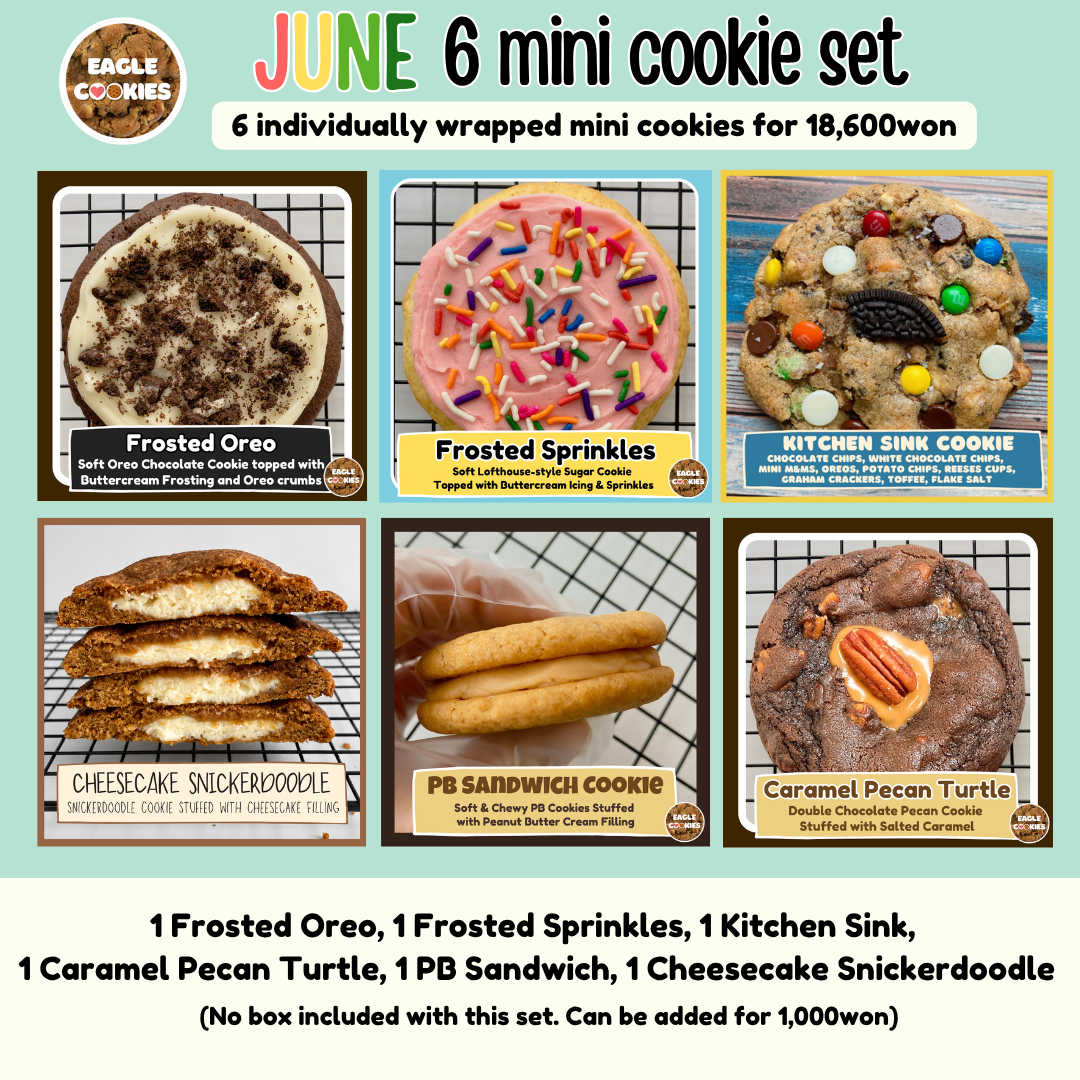 June 6 Mini Cookie Set