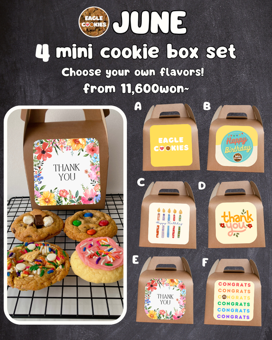 4 Mini Cookie Box Set