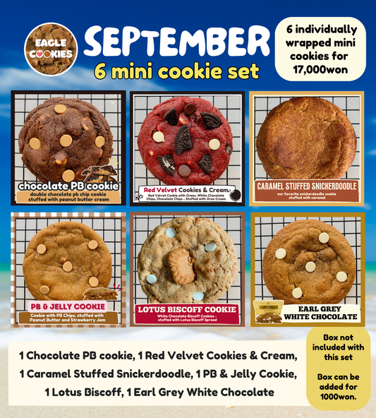 September 6 Mini Cookie Set