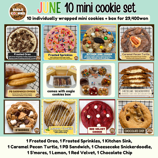 June 10 mini cookie set