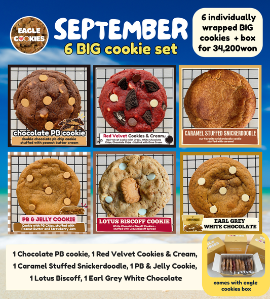 September 6 Big Cookie Set