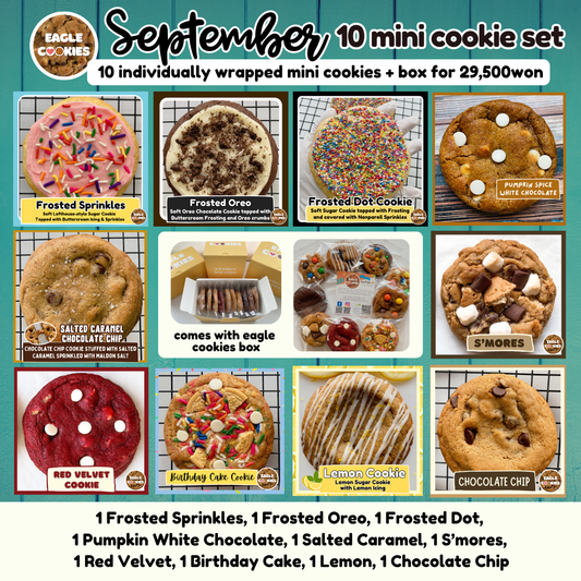 September 10 mini cookie set
