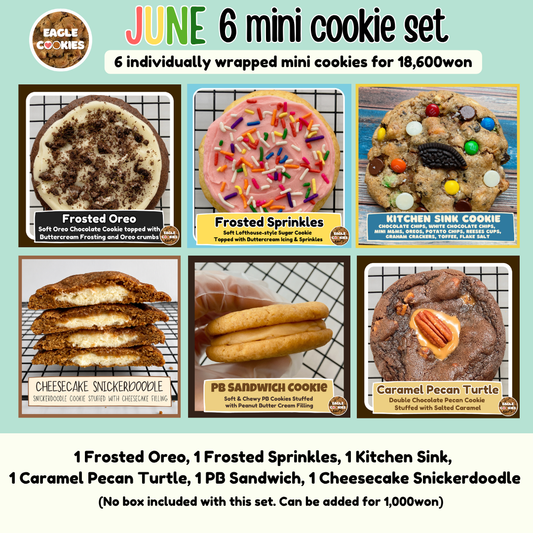 June 6 Mini Cookie Set