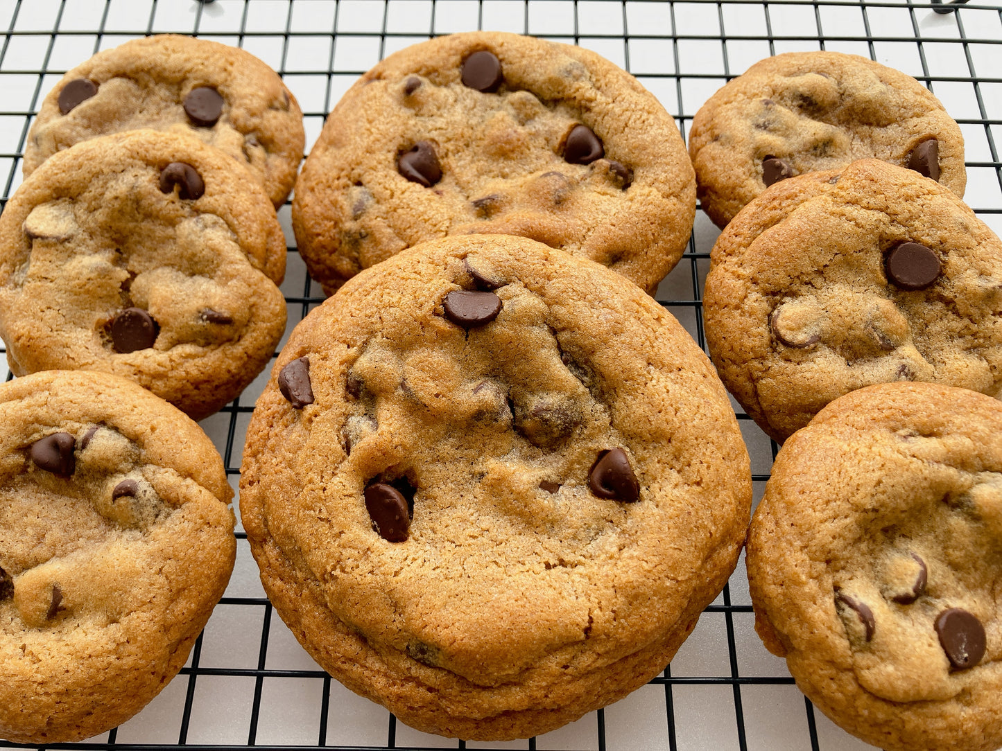 Chocolate Chip Cookie